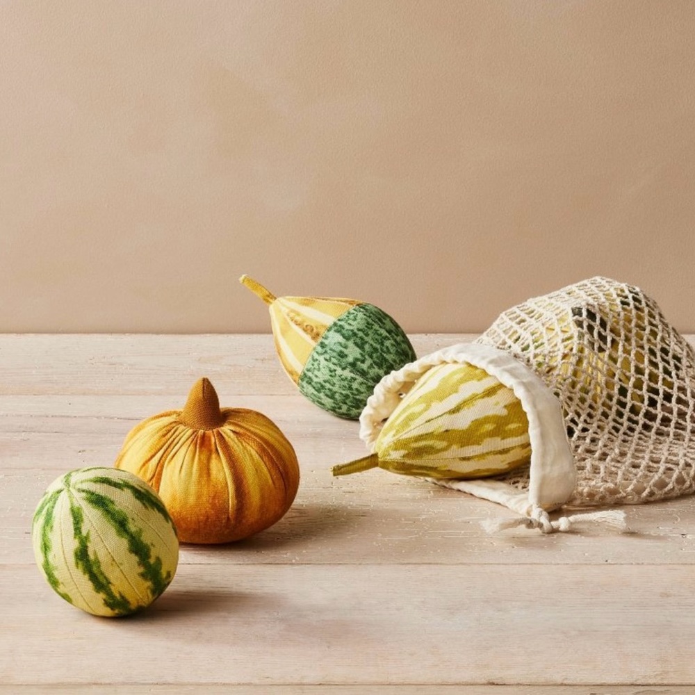 John Derian for Target - 5pc Pillow Set Assorted Fall Gourds